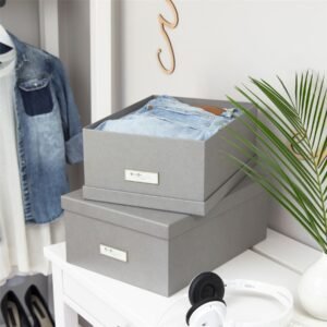 Storage & Organization Set Of 2 Fibreboard Storage Boxes - Ulrika
