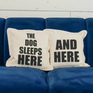 Textiles The Dog/Cat Sleeps Here... and Here... Not Here Throw Pillows