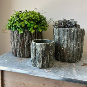 Vagabond Vintage Round Shaped Concrete Pot with Bark Like Detailing