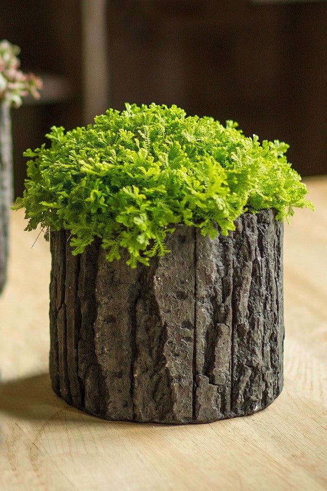 62fd36605e95f4dd04847ae57bffba5917005f534a664a9d1baea07c42b8acd5.jpg Vagabond Vintage Round Shaped Concrete Pot with Bark Like Detailing - Image 2