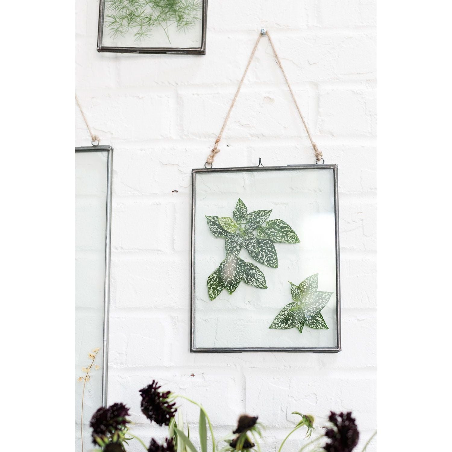71621-00_2.jpg Glass and Metal Floating Frames - Image 2
