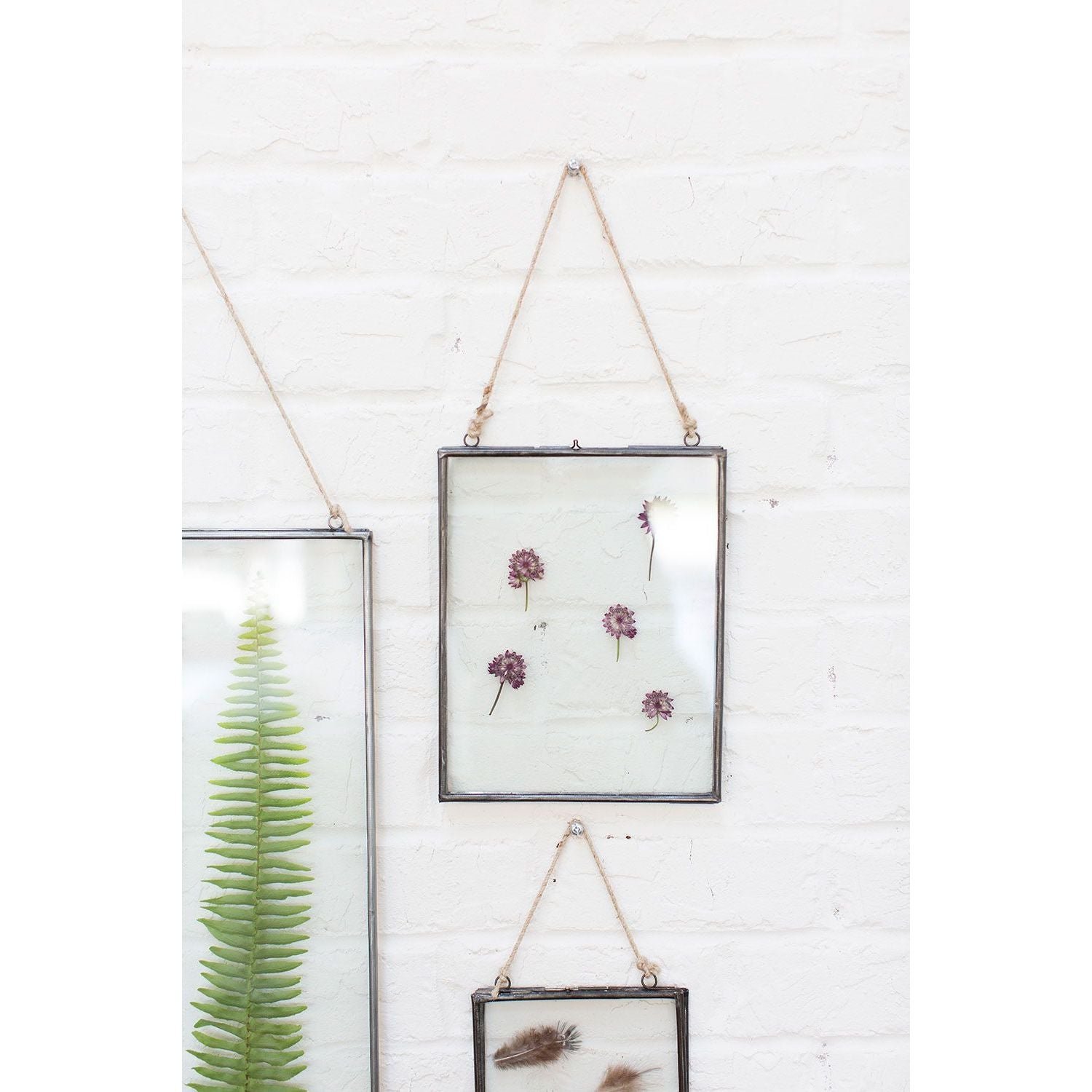 71621-00_3.jpg Glass and Metal Floating Frames - Image 3