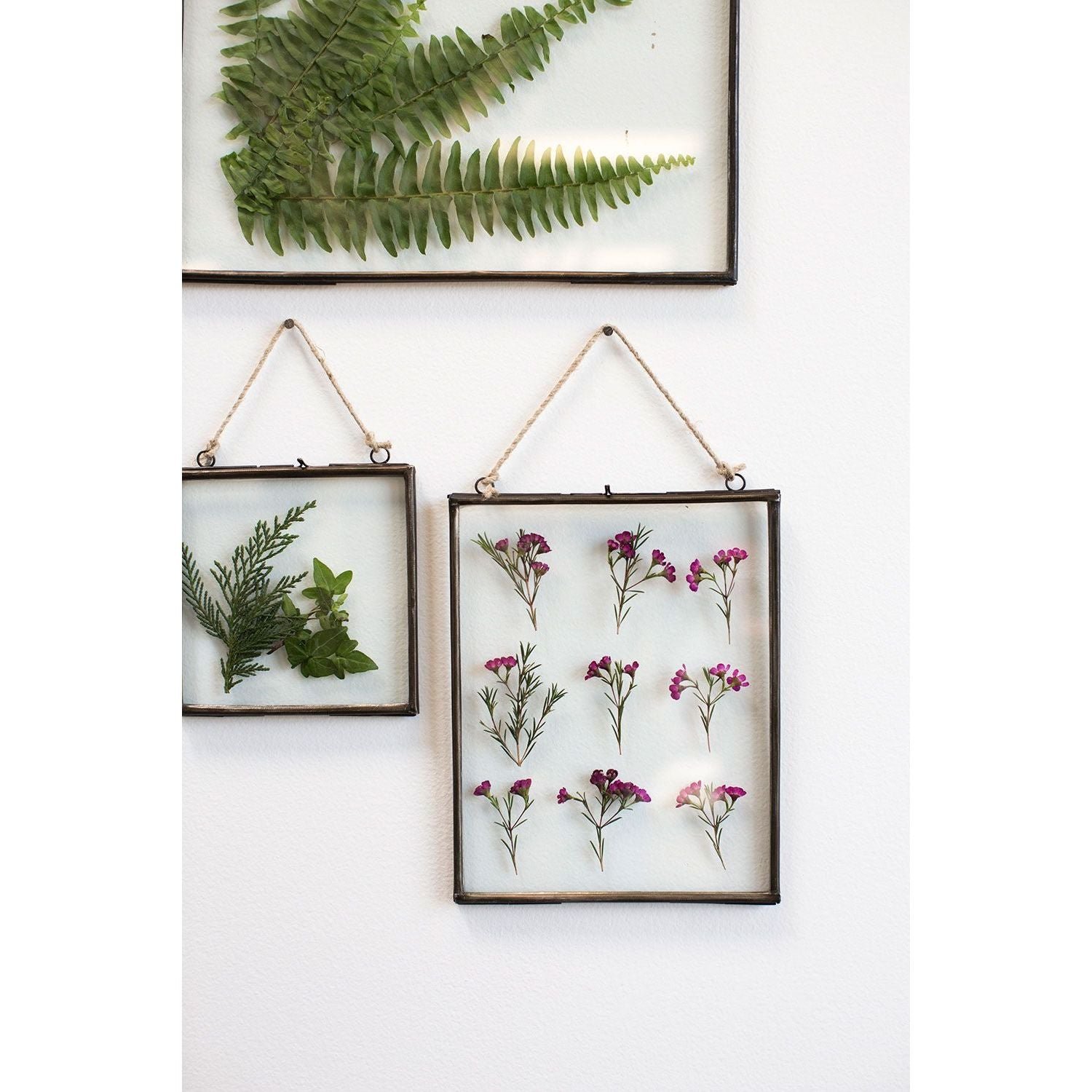 71621-00_4.jpg Glass and Metal Floating Frames - Image 4