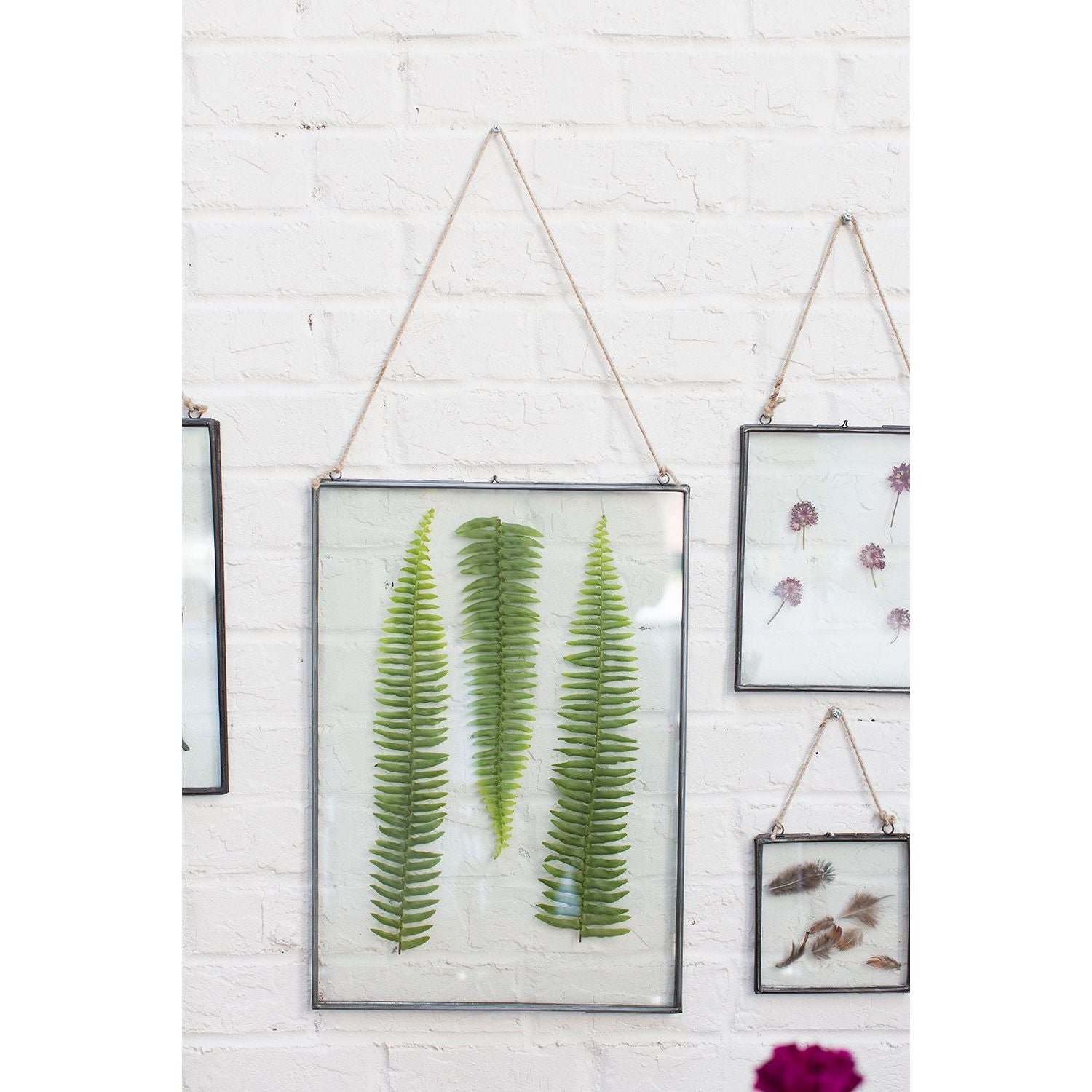 71623-00_4.jpg Glass and Metal Floating Frames - Image 8
