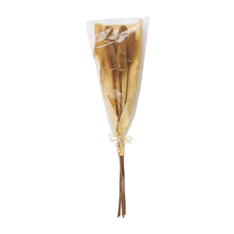 Screenshot2022-10-11at13-37-28NaturalThistleStemBundleMudPie.png Preserved Thistle Stems - Image 2