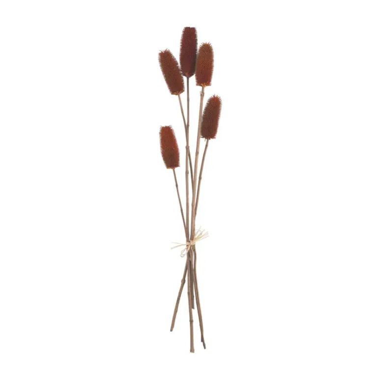 Screenshot2022-10-11at13-37-40RustandBrownThistleStemBundleMudPie.png Preserved Thistle Stems - Image 4