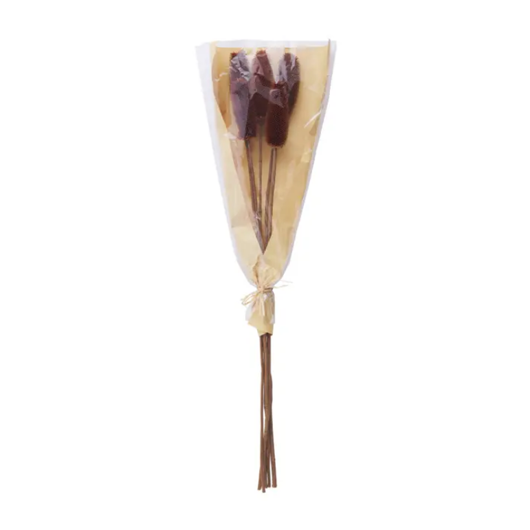 Screenshot2022-10-11at13-37-48RustandBrownThistleStemBundleMudPie.png Preserved Thistle Stems - Image 3