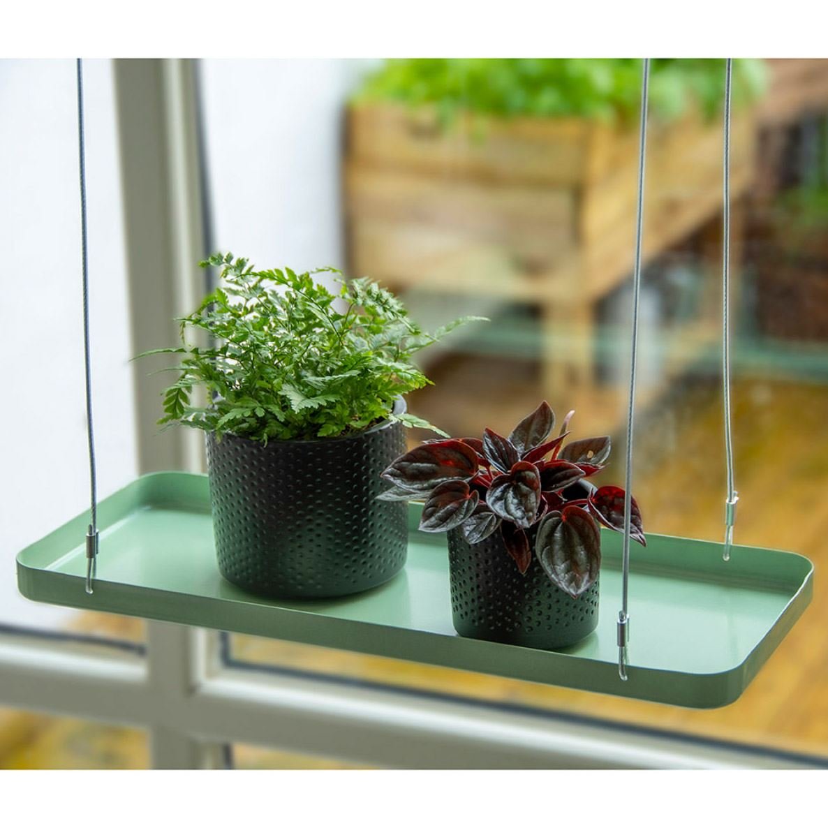 b1eb5c2d-8911-4851-86c3-3c88ecf9745d.jpg Hanging Plant Tray