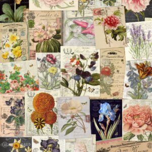 Botanicals 11x17 Assorted Art Prints