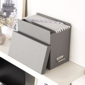 Suspension File Storage Box - Tage