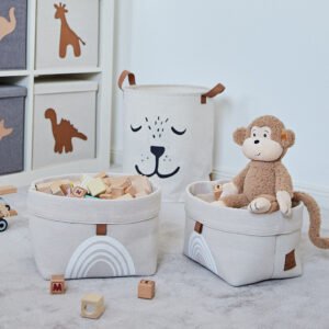 Rainbow Storage Basket Set Of 2