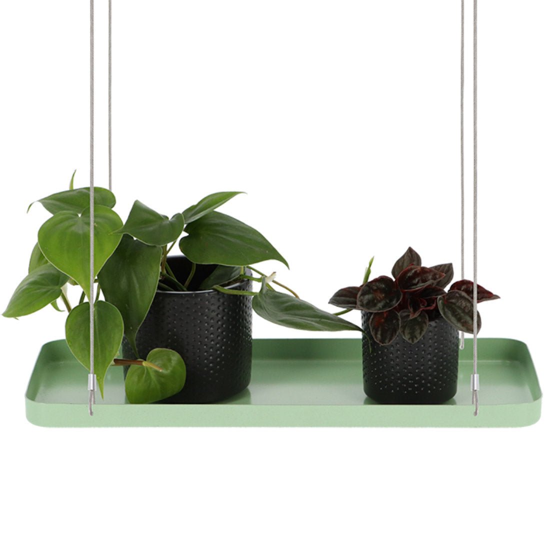 pic_9651_3_6107cca5bbb4f.jpg Hanging Plant Tray - Image 6