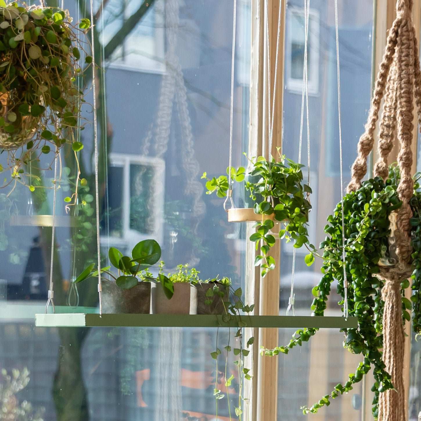 pic_9651_3_610a98362f58c.jpg Hanging Plant Tray - Image 8